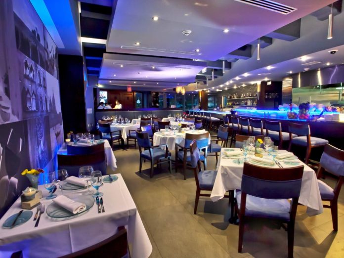 A Taste of Indian Influence at Blue Cilantro