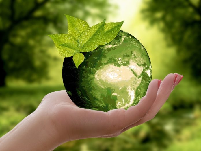 Goldman Sachs Launches Biodiversity Bond Fund